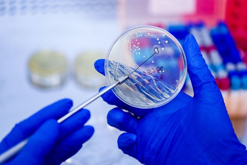 department of microbial biotechnology research-img