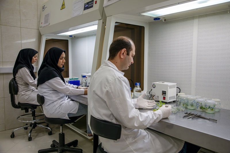 department of genetic engineering and biosafety research-img