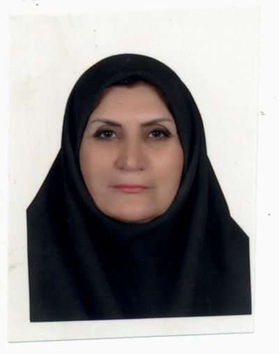 Eng. Alie Bahmani-img
