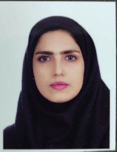 Eng. Salehe Naderi-img