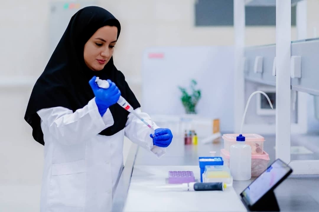 پایان نامه‌های دکتری-img
