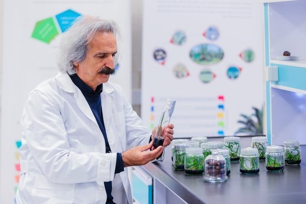 Propagation, Sanitization and Production of Healthy Primary Nucleuses of Horticultural Plant-img