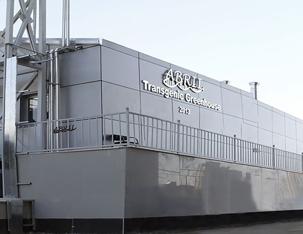 کلان پروژه تولید محصولات تراریخته/ویراسته-img